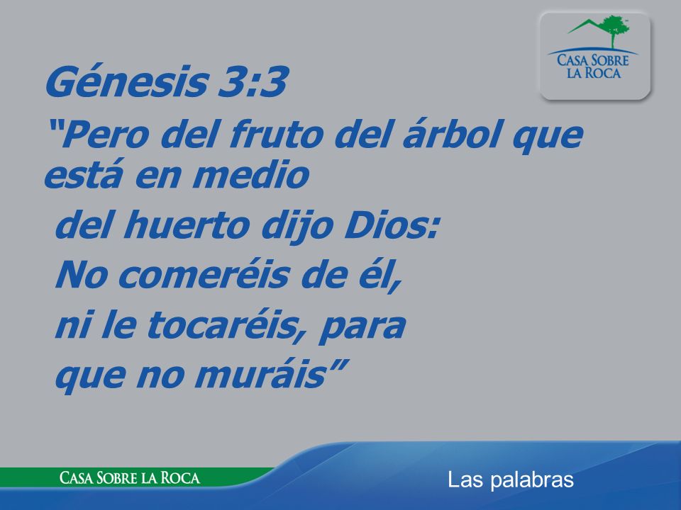 Génesis 3:3 Pero del fruto del árbol que está en medio