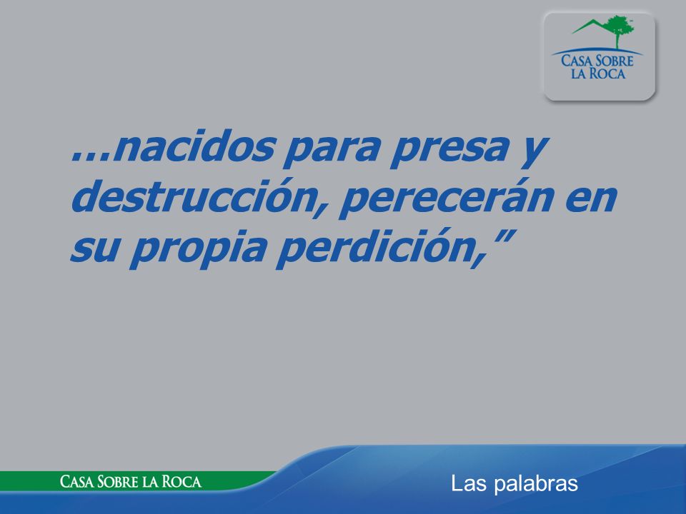 …nacidos para presa y destrucción, perecerán en su propia perdición,