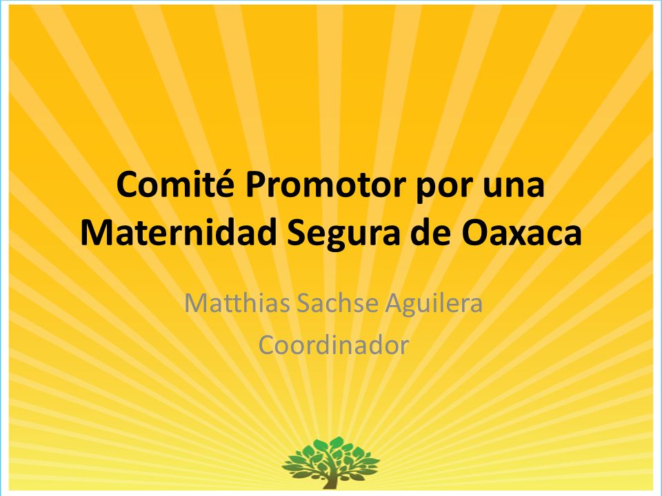 Comité Promotor por una Maternidad Segura de Oaxaca