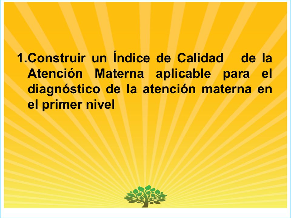 1.Construir un Índice de Calidad de la Atención Materna aplicable para el diagnóstico de la atención materna en el primer nivel