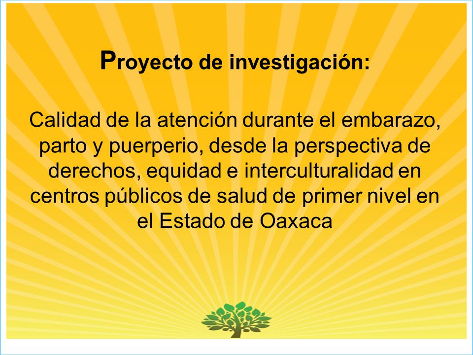 Proyecto de investigación: Calidad de la atención durante el embarazo, parto y puerperio, desde la perspectiva de derechos, equidad e interculturalidad en centros públicos de salud de primer nivel en el Estado de Oaxaca