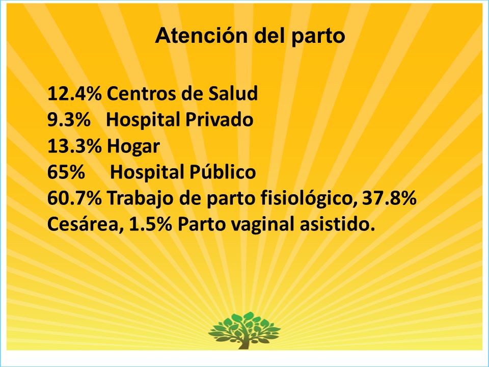 Atención del parto 12.4% Centros de Salud. 9.3% Hospital Privado. 13.3% Hogar. 65% Hospital Público.