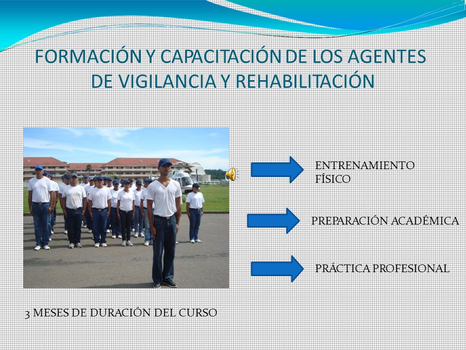 FORMACIÓN Y CAPACITACIÓN DE LOS AGENTES DE VIGILANCIA Y REHABILITACIÓN