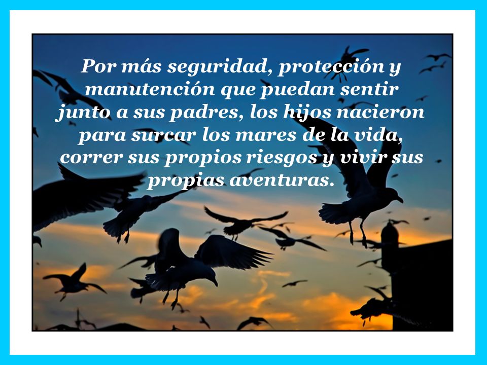 Por más seguridad, protección y manutención que puedan sentir junto a sus padres, los hijos nacieron para surcar los mares de la vida, correr sus propios riesgos y vivir sus propias aventuras.