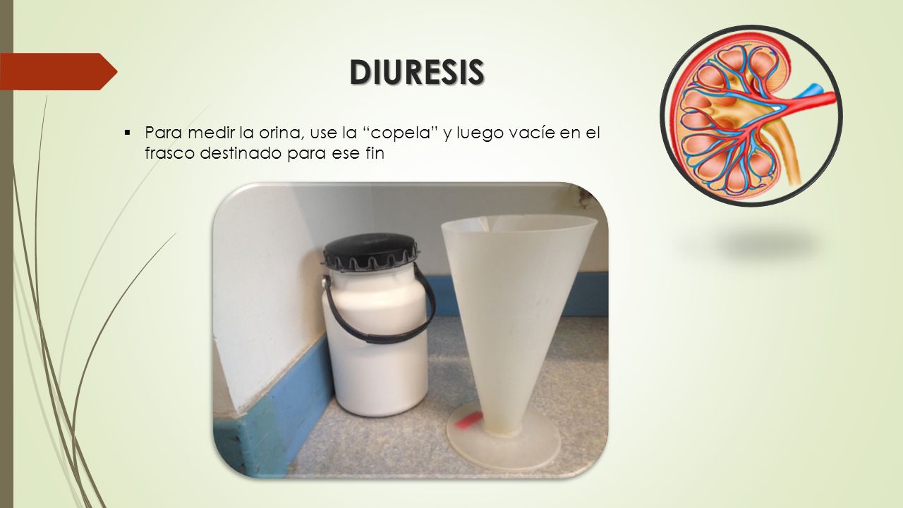 DIURESIS Para medir la orina, use la copela y luego vacíe en el frasco destinado para ese fin.