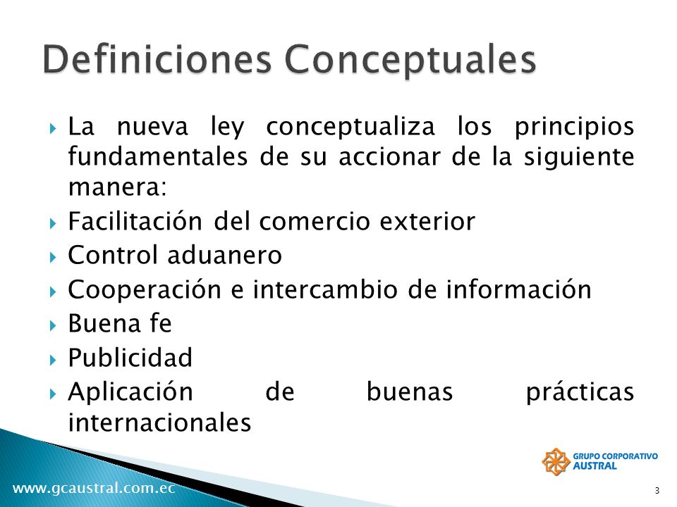 Definiciones Conceptuales