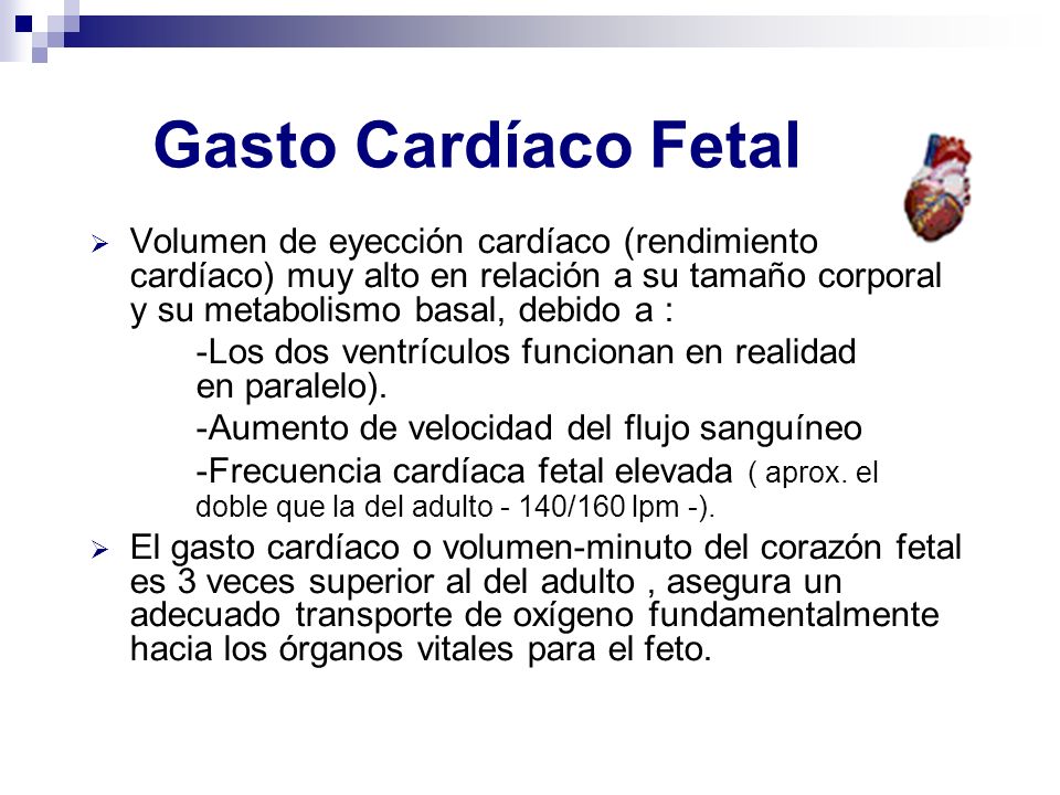 Gasto Cardíaco Fetal Volumen de eyección cardíaco (rendimiento cardíaco) muy alto en relación a su tamaño corporal y su metabolismo basal, debido a :