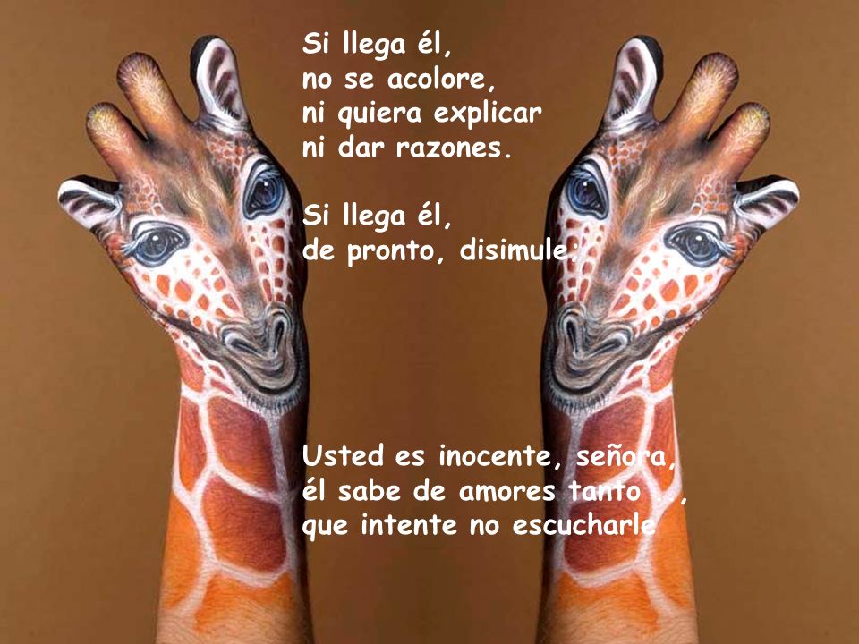 Si llega él, no se acolore, ni quiera explicar. ni dar razones. de pronto, disimule; Usted es inocente, señora,