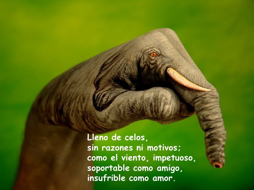Lleno de celos, sin razones ni motivos; como el viento, impetuoso, soportable como amigo, insufrible como amor.
