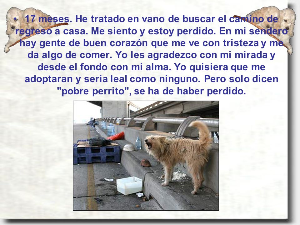 17 meses. He tratado en vano de buscar el camino de regreso a casa