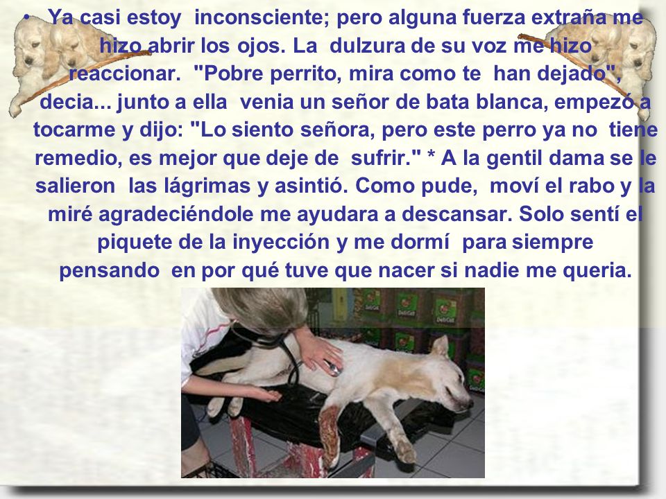 Ya casi estoy inconsciente; pero alguna fuerza extraña me hizo abrir los ojos.