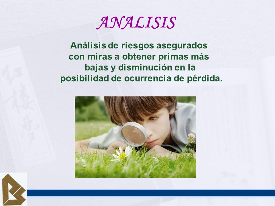 ANALISIS Análisis de riesgos asegurados con miras a obtener primas más
