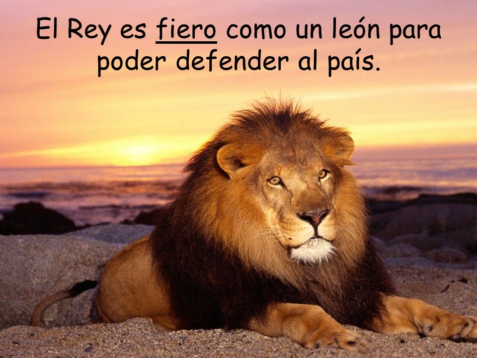 El Rey es fiero como un león para poder defender al país.