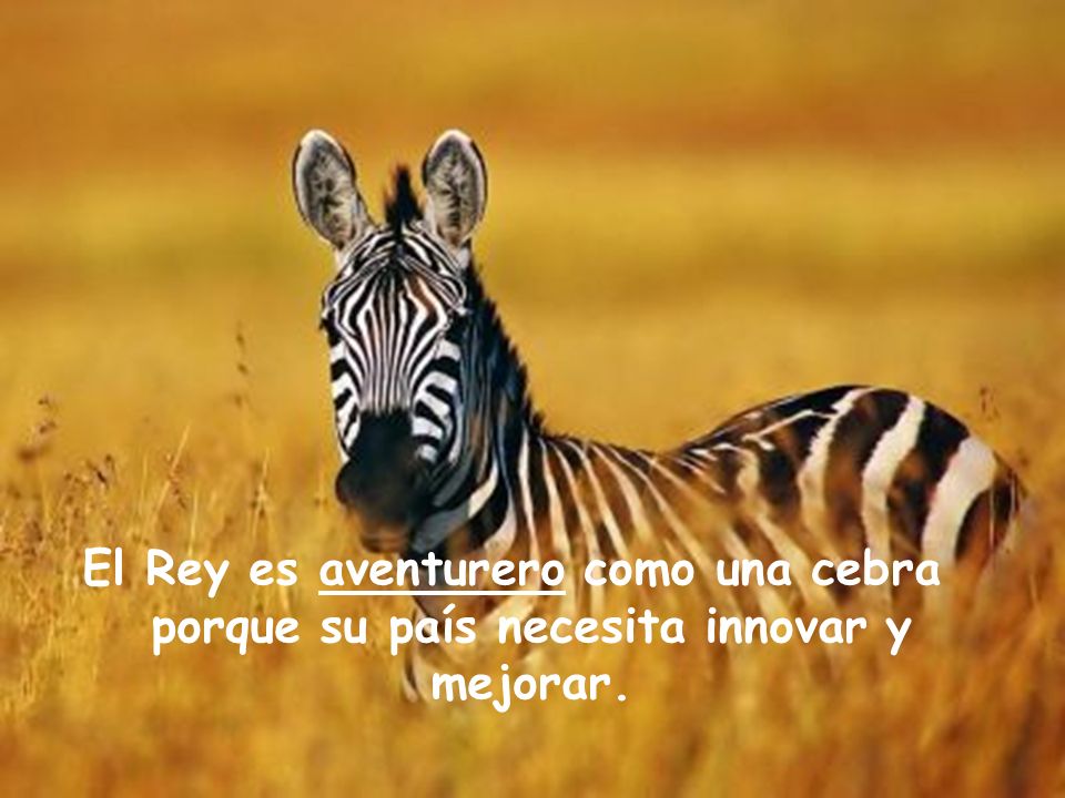El Rey es aventurero como una cebra porque su país necesita innovar y mejorar.
