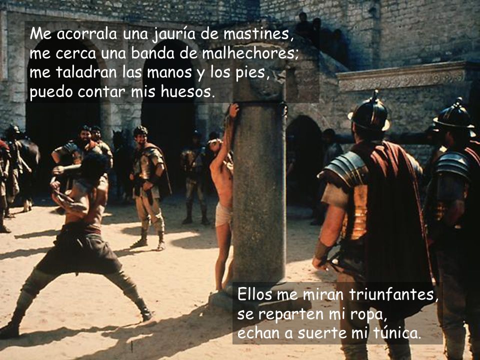 Me acorrala una jauría de mastines, me cerca una banda de malhechores; me taladran las manos y los pies, puedo contar mis huesos.