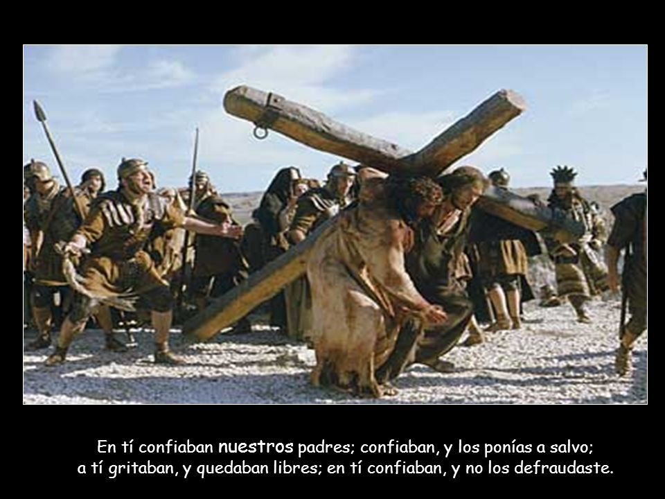 En tí confiaban nuestros padres; confiaban, y los ponías a salvo; a tí gritaban, y quedaban libres; en tí confiaban, y no los defraudaste.