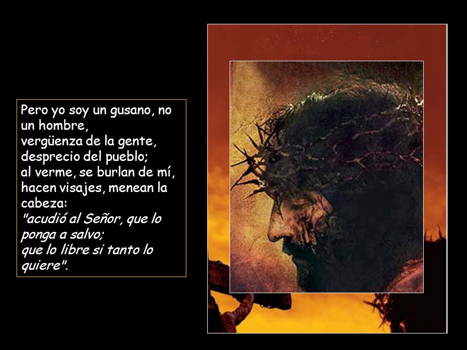 Pero yo soy un gusano, no un hombre, vergüenza de la gente, desprecio del pueblo; al verme, se burlan de mí, hacen visajes, menean la cabeza: acudió al Señor, que lo ponga a salvo; que lo libre si tanto lo quiere .