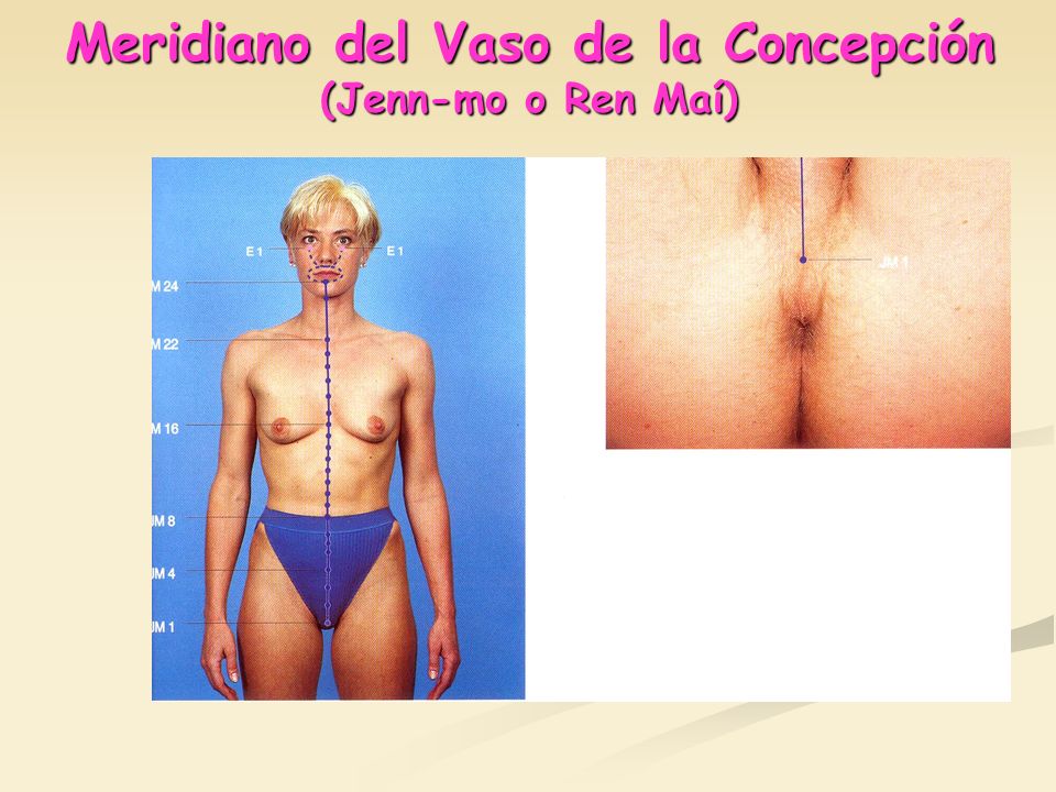 Meridiano del Vaso de la Concepción (Jenn-mo o Ren Maí)