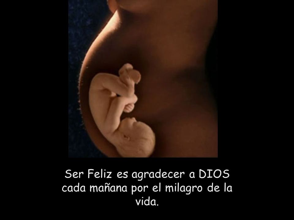 Ser Feliz es agradecer a DIOS cada mañana por el milagro de la vida.