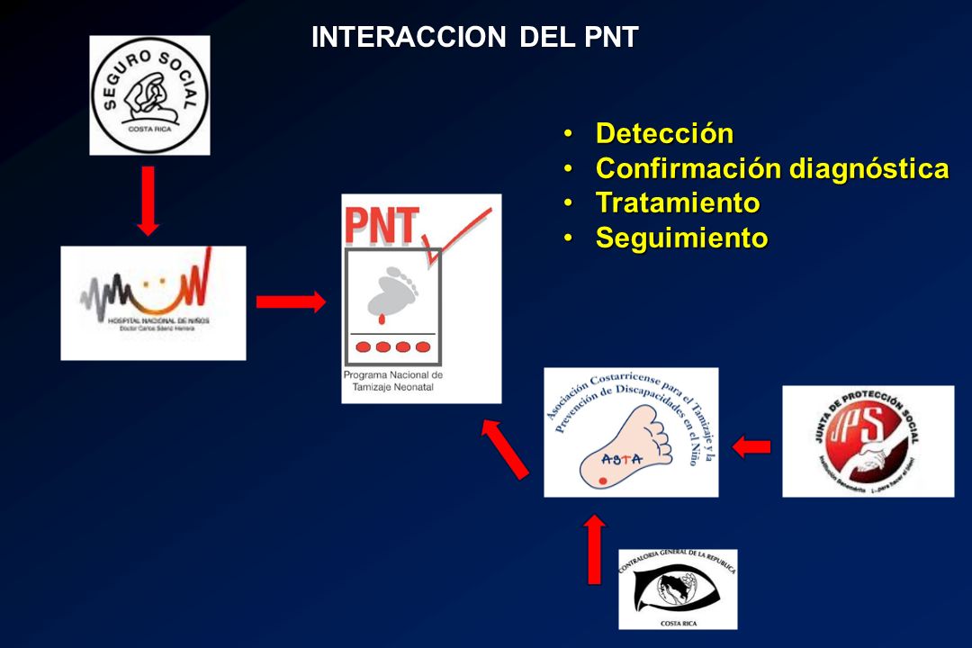 INTERACCION DEL PNT Detección Confirmación diagnóstica Tratamiento Seguimiento