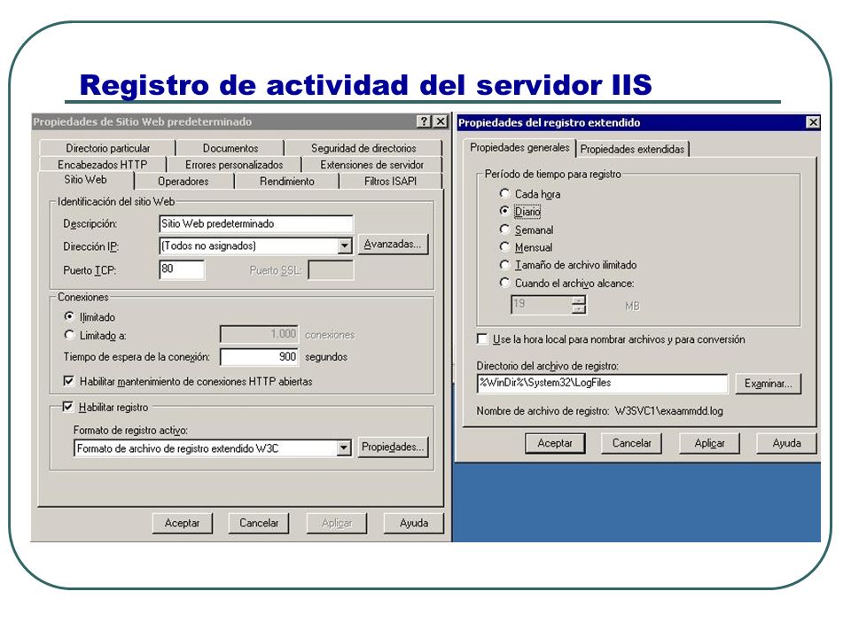 Registro de actividad del servidor IIS