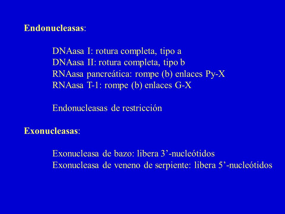 Endonucleasas: DNAasa I: rotura completa, tipo a. DNAasa II: rotura completa, tipo b. RNAasa pancreática: rompe (b) enlaces Py-X.