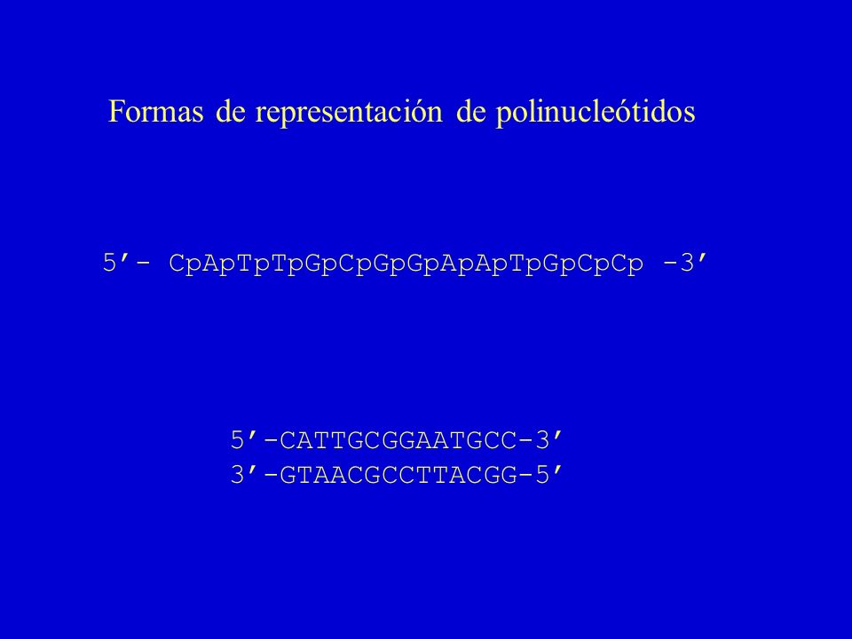 Formas de representación de polinucleótidos