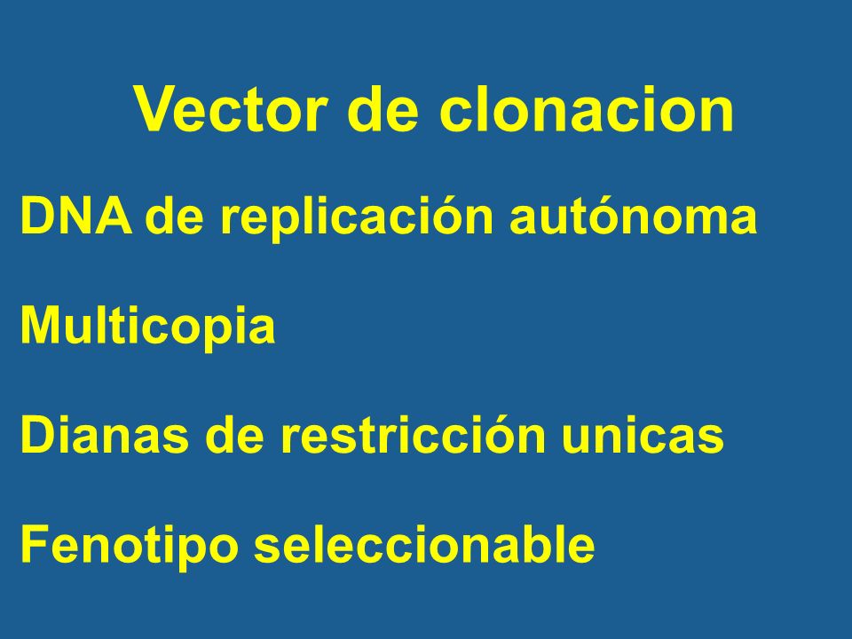 Vector de clonacion DNA de replicación autónoma Multicopia