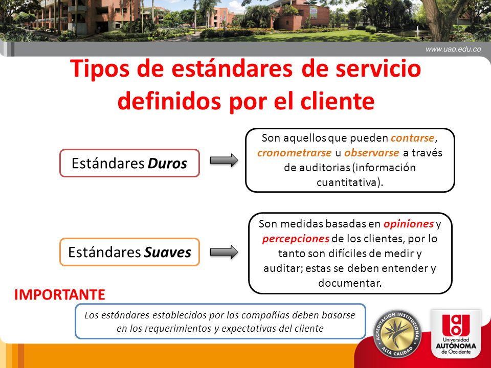 Tipos de estándares de servicio definidos por el cliente