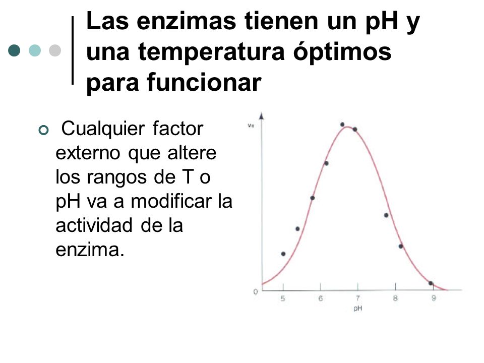Las enzimas tienen un pH y una temperatura óptimos para funcionar