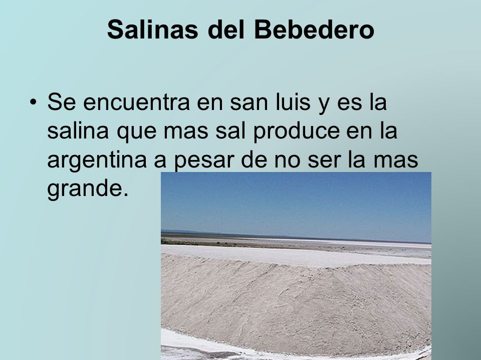 Salinas del Bebedero Se encuentra en san luis y es la salina que mas sal produce en la argentina a pesar de no ser la mas grande.