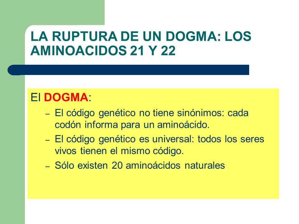 LA RUPTURA DE UN DOGMA: LOS AMINOACIDOS 21 Y 22