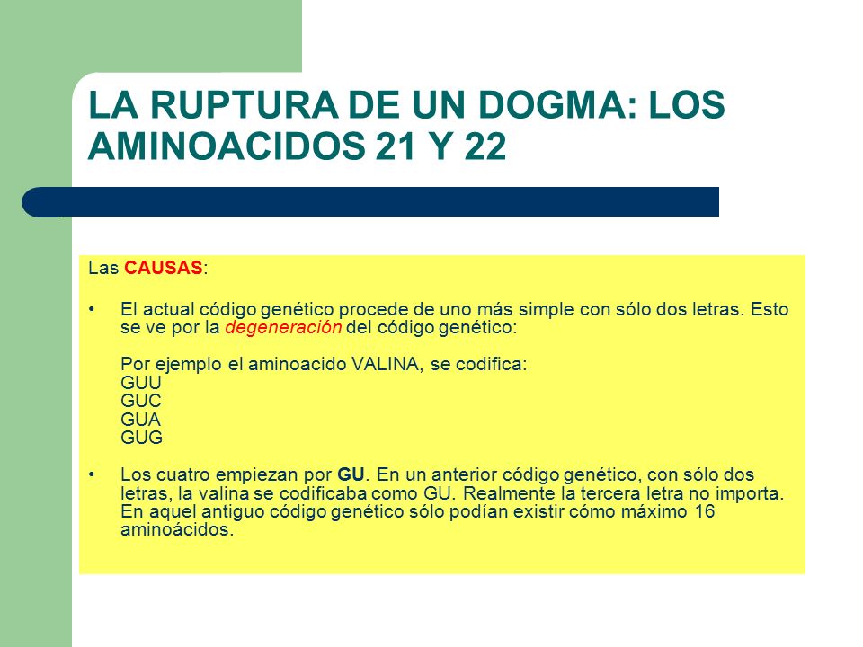 LA RUPTURA DE UN DOGMA: LOS AMINOACIDOS 21 Y 22
