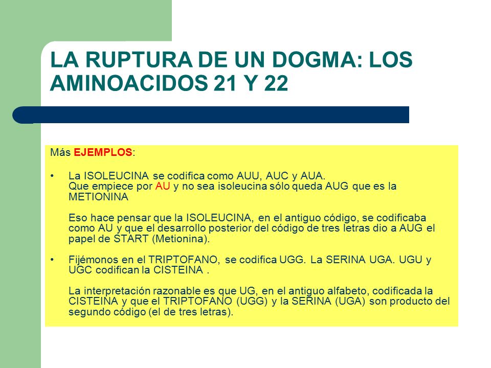 LA RUPTURA DE UN DOGMA: LOS AMINOACIDOS 21 Y 22