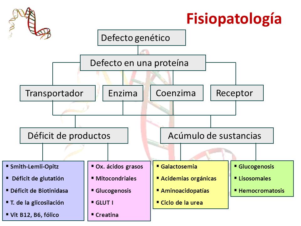 Fisiopatología Defecto genético Defecto en una proteína Transportador