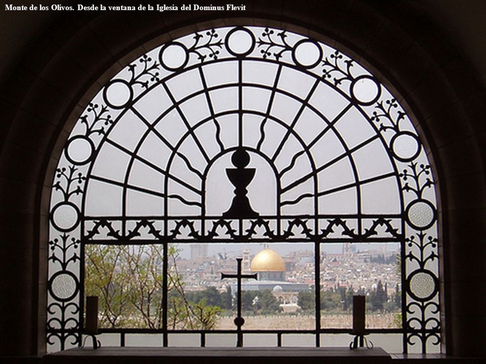 Monte de los Olivos. Desde la ventana de la Iglesia del Dominus Flevit