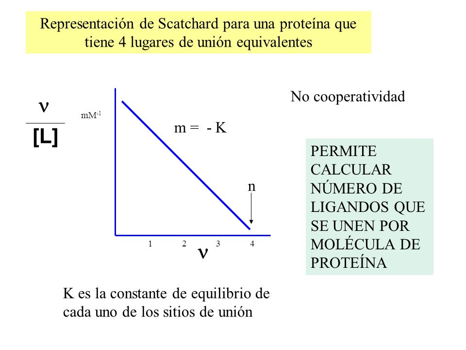 Representación de Scatchard para una proteína que tiene 4 lugares de unión equivalentes