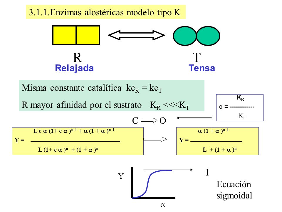 R T Enzimas alostéricas modelo tipo K Tensa Relajada