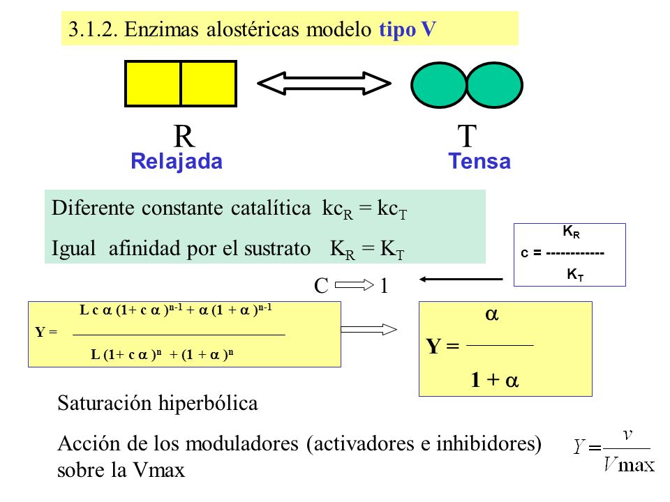 R T Enzimas alostéricas modelo tipo V