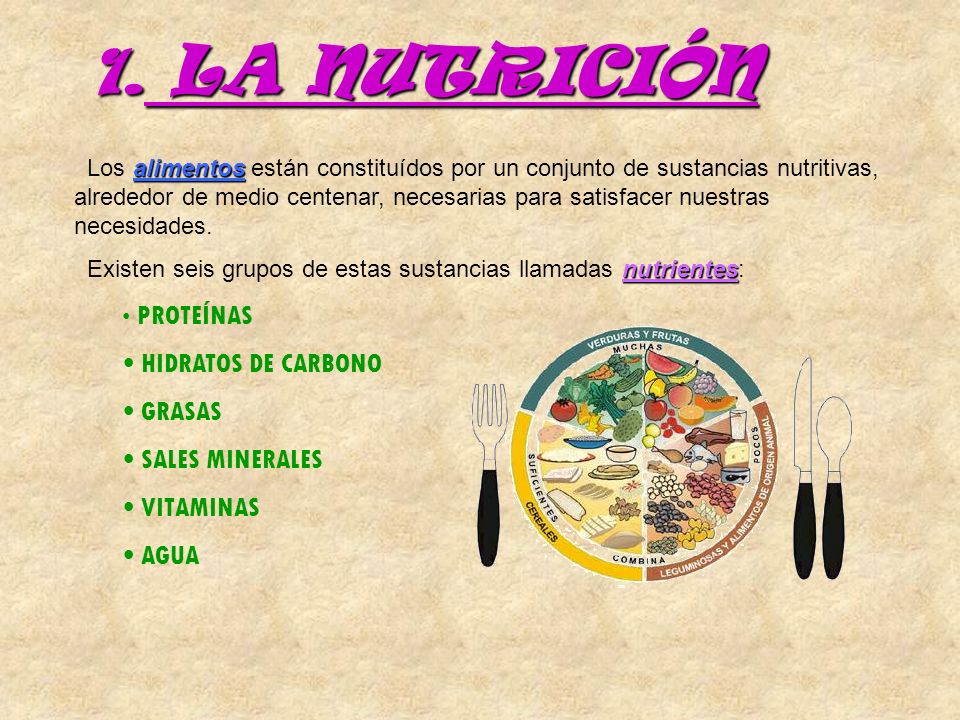 LA NUTRICIÓN HIDRATOS DE CARBONO GRASAS SALES MINERALES VITAMINAS AGUA