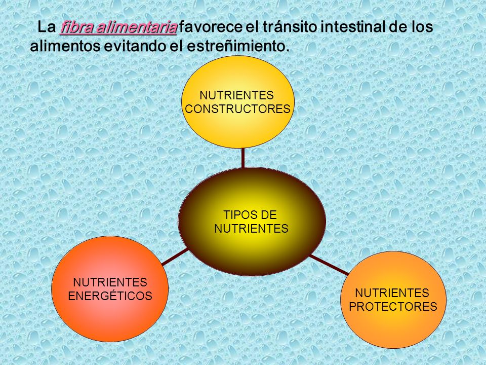 La fibra alimentaria favorece el tránsito intestinal de los alimentos evitando el estreñimiento.