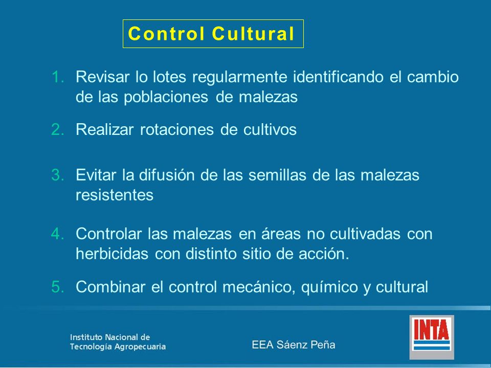 Control Cultural Revisar lo lotes regularmente identificando el cambio de las poblaciones de malezas.