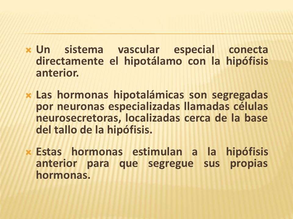 Un sistema vascular especial conecta directamente el hipotálamo con la hipófisis anterior.