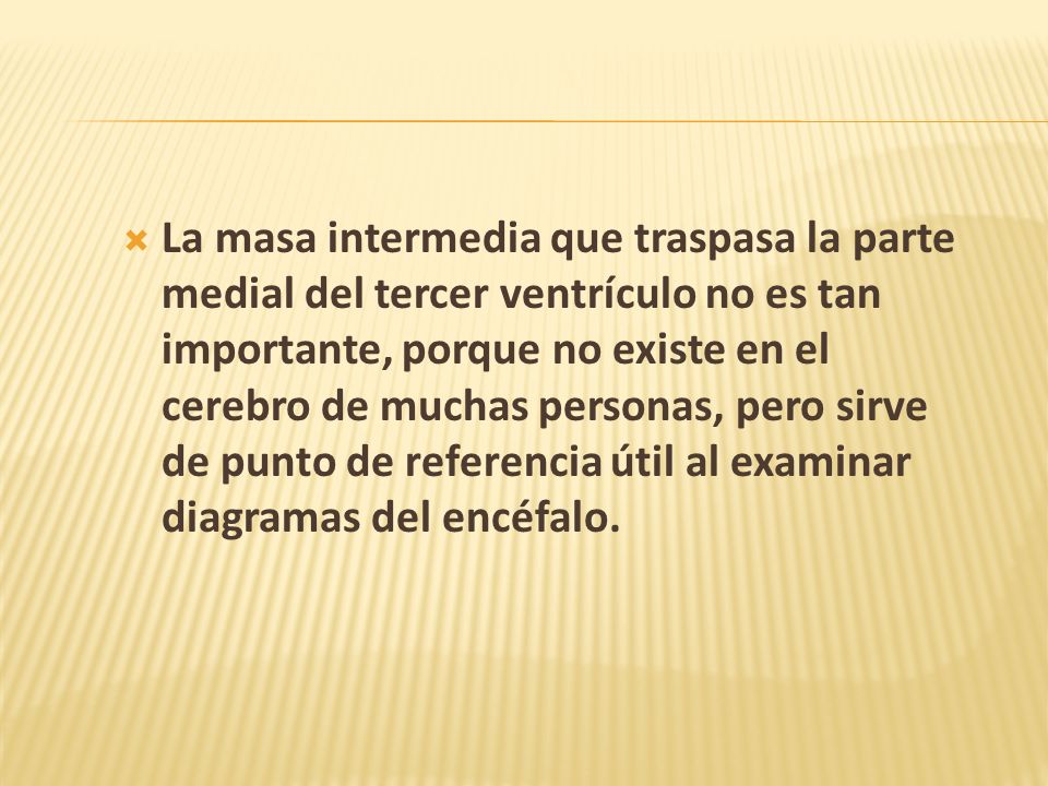 La masa intermedia que traspasa la parte medial del tercer ventrículo no es tan importante, porque no existe en el cerebro de muchas personas, pero sirve de punto de referencia útil al examinar diagramas del encéfalo.