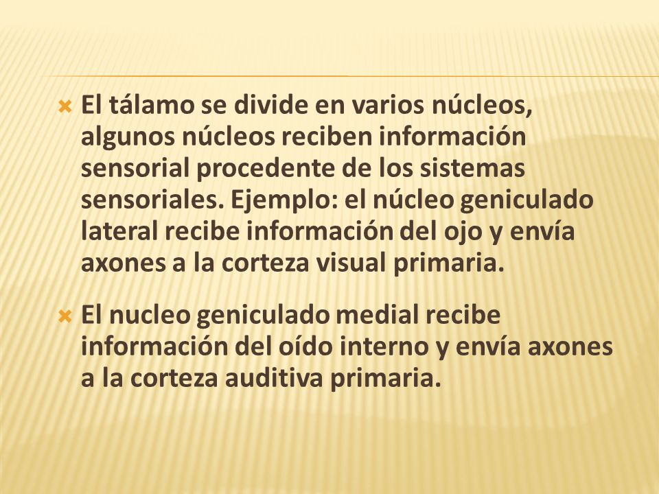 El tálamo se divide en varios núcleos, algunos núcleos reciben información sensorial procedente de los sistemas sensoriales. Ejemplo: el núcleo geniculado lateral recibe información del ojo y envía axones a la corteza visual primaria.