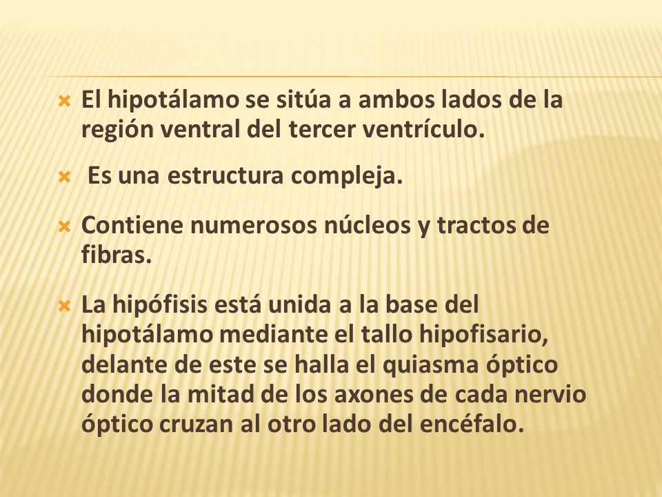 El hipotálamo se sitúa a ambos lados de la región ventral del tercer ventrículo.