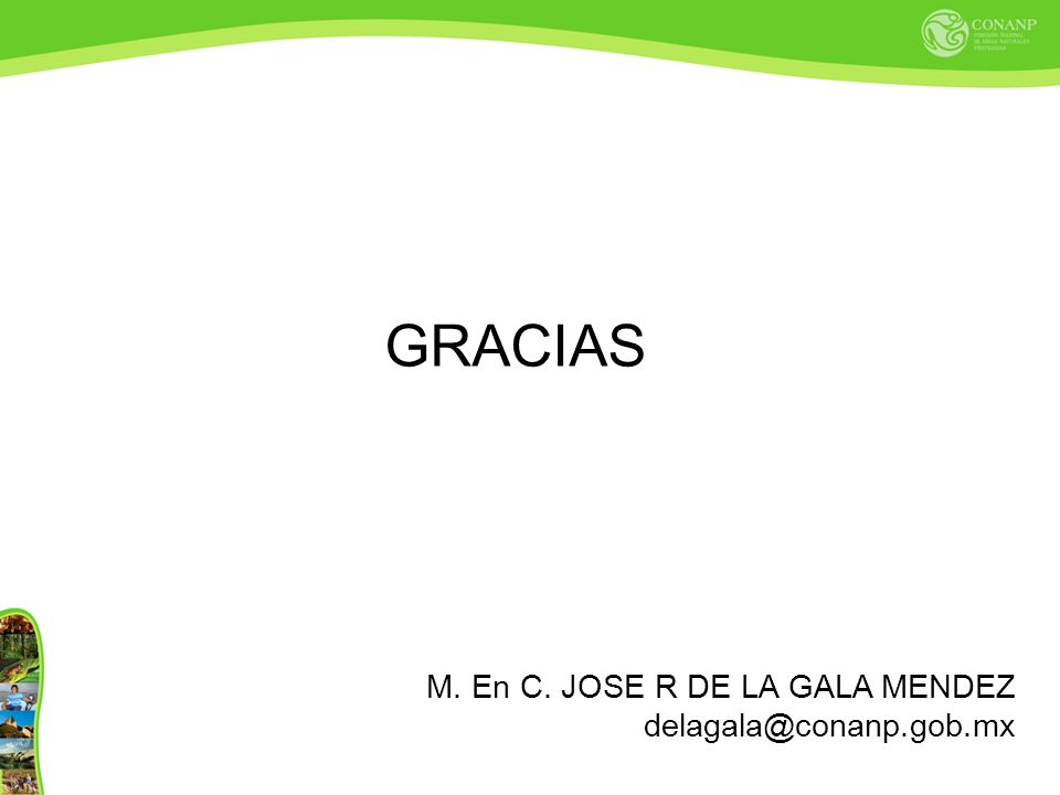GRACIAS M. En C. JOSE R DE LA GALA MENDEZ