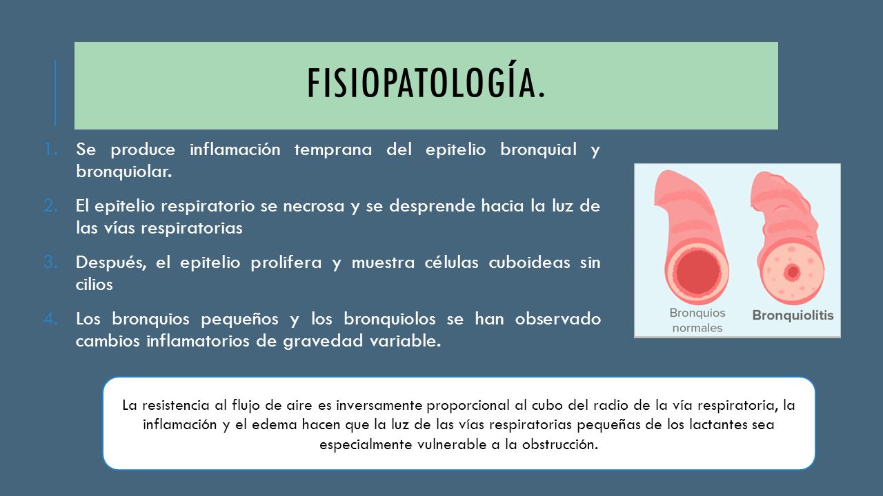 FISIOPATOLOGÍA. Se produce inflamación temprana del epitelio bronquial y bronquiolar.