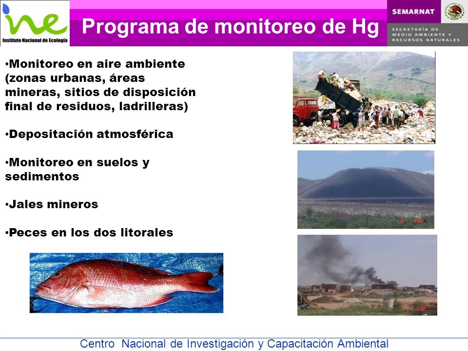 Programa de monitoreo de Hg