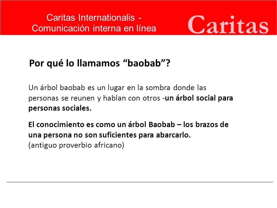 Caritas Por qué lo llamamos baobab Caritas Internationalis -